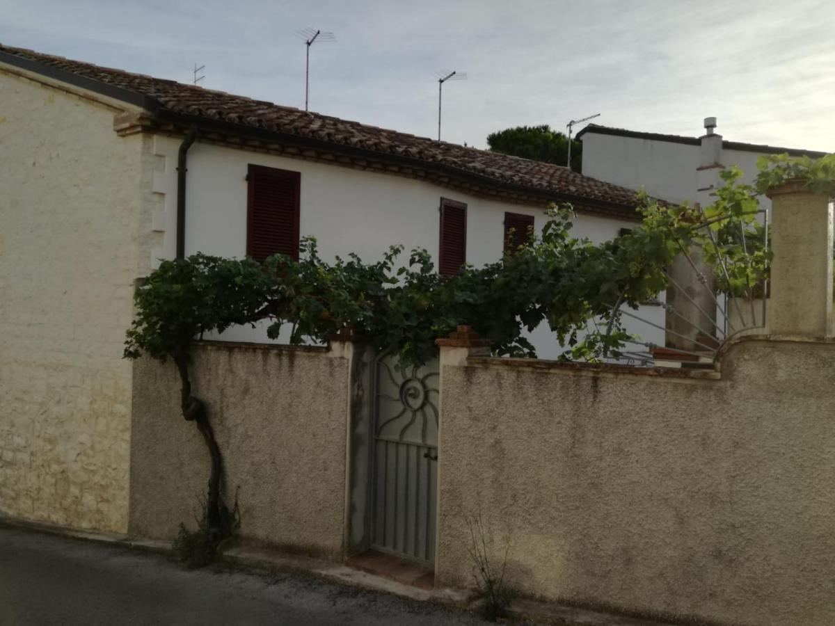 B&B Capo Le Vigne Sirolo Eksteriør bilde