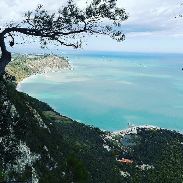 B&B Capo Le Vigne Sirolo Eksteriør bilde